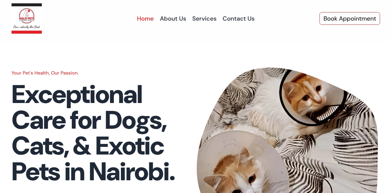 Halo Pets Vet Clinic Website Showcase